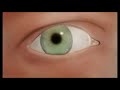 How to draw an eye Photoshop OjO Speed Painting