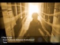 Yuria - Ray of light (Fullmetal Alchemist Brotherhood) Cover 歌ってみた with english subtitles