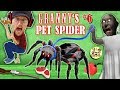 GRANNY's PET SPIDER + SECRET ROOMS w/ Annoying Baldi's Basics!! (FGTEEV Gameplay)