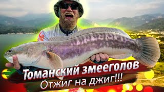 ОБНОВЛЕНИЕ РЕКОРДА! Трофеи на джиг. Рыбалка на водохранилище с ночёвкой. Фидер и спиннинг. 2019/12