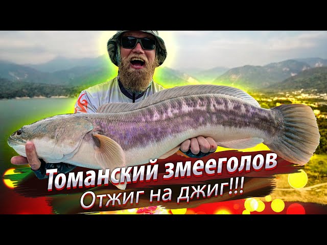 ОБНОВЛЕНИЕ РЕКОРДА! Трофеи на джиг. Рыбалка на водохранилище с ночёвкой. Фидер и спиннинг. 2019/12