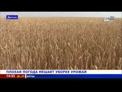 Новости фокинского района брянска