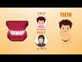 Teeth