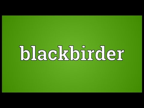 Header of blackbirder