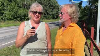 Lär dig gotländska, lektion 3