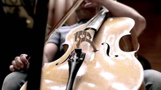 Mieczysław Wajnberg String Quartet no 7 & Piano Quintet / Silesian Quartet, Piotr Salajczyk