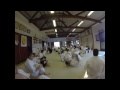 【Aikido】Shirakawa Ryuji sensei at Aikido Shinbukan Dojo 2014  in Hunrary