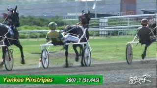 Tim Tetrick Part 1-- A Day in the Life -- Hoof Beats