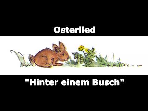 Blinzelt Aus Dem Grünen Gras Video