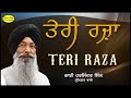 Teri Raza | Bhai Harjinder Singh Srinagar Wale | Mr Singh Production