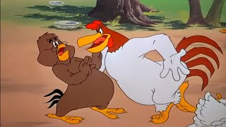 Humillado Por Una Gallina - Quique Y El Gallo Claudio