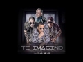 "TE IMAGINO" J Alvarez + Baby Rasta y Gringo + Divino (Official Song)