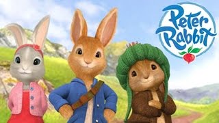 Peter Rabbit Full Games - Treehouse Tvs Peter Rabbit Game