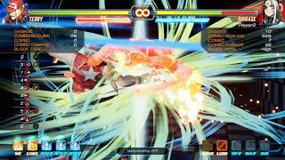 Fexl - Terry 4 Bar Combos