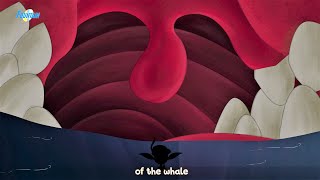 Whale Eats Person P - Kp