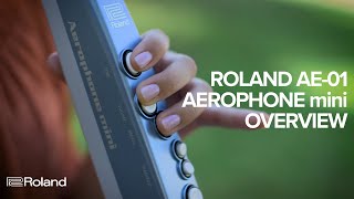 Roland AE-01 Aerophone mini: Overview