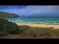 Hawaiian Music
