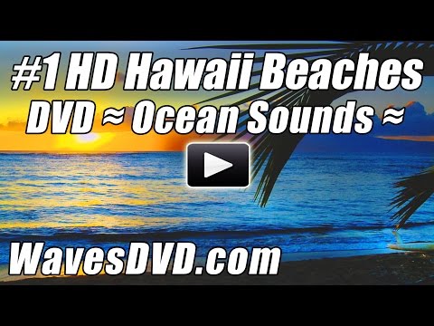 Hawaii Music Torrent