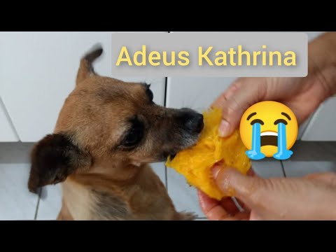 KATHRINA PARTIU 😢 KATHRINA PARTIU 😢