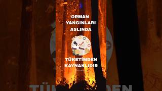 Orman Yangınlarının Gizli Sebebi Tüketim