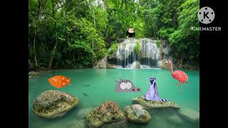 Pbs Kids Sprout Jungle Now Bumper Monkey See Monkey Do 2005-2009