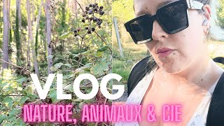 Vlog Nature, Animaux & Cie