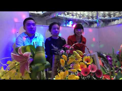 Luyện thi vẽ, dạy vẽ, mỹ thuật, luyện thi khối H, khối V, học vẽ 1015