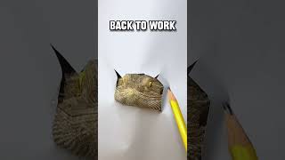 Drawing My Bearded Dragon