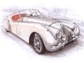 I ♥ Jaguar XK120 1948 E-type 1961 Mk2 1959 D-type 1954 Art