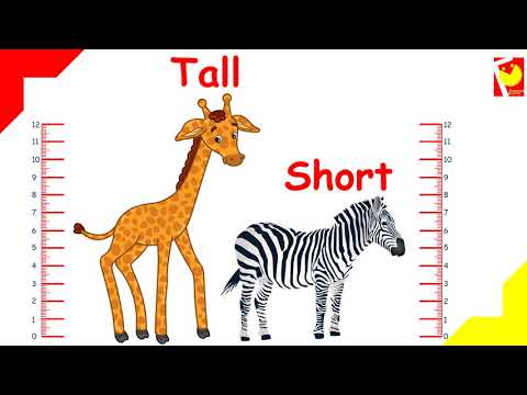 Small vs tall pictures