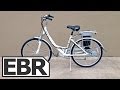 eZip Trailz Commuter Video Review - Cheap Electric Bike Sold Online, at Walmart and Amazon