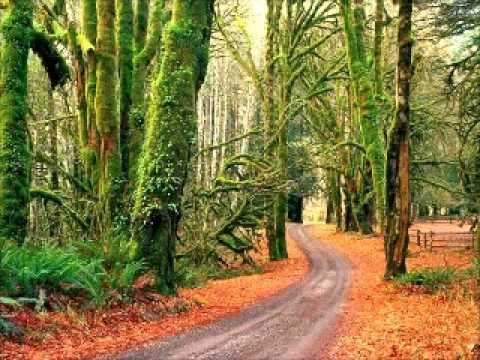 سرگذشت آهنگساز:سورنا صفاتی composer:sourena...