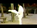 Shaolin 24 Tan Tui (Twenty Four Spring Leg)