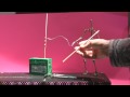 How to Use a Surface Gage for Stop Motion Animation