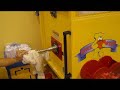 Lamb Cam #13: Lambie Gets Stuffed! Build a Bear