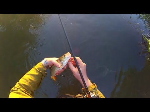 рыбалка на реке нерская видео рыбалка на реке нерская видео