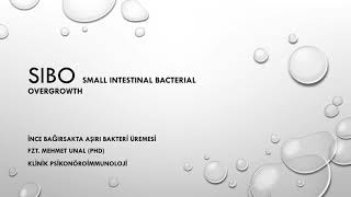 Si̇bo