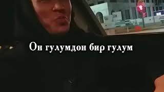 Бакыт Латипов Укчу гүлүм караоке