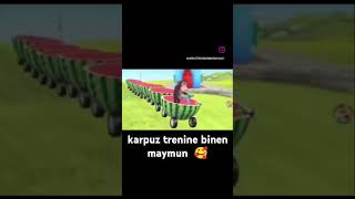 Karpuz Trenine Binen Maymun