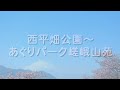 まつだ桜まつり 西平畑公園～あぐりパーク【