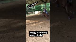 Peggy Is Coming Along Nicely That Is My Sister Riding Her