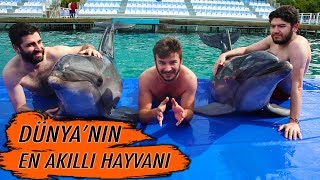 Dünyanin En Zeki̇ Hayvani İle Bi̇r Gün Geçi̇rdi̇k