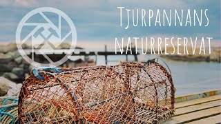 Tjurpannans naturreservat