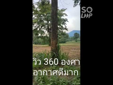 ที่ดินมายโอโซน เขาใหญ่ 50 ไร่ ล้อมรั้วคาวบอย แบ่งเป็นไร่ ไร่ละ2.5 ล้านซื้อยกแปลง ราคาโคตรคุ้ม