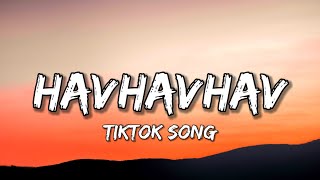 Lvbel C5 - Havhavhav Lyrics Onlar Arkadan Havlarlar Roar-Roar-Roar-Roar-Roar-Roar Tiktok Song
