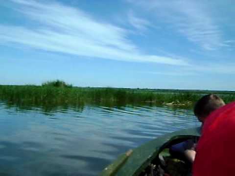 ловим на неро ловим на неро