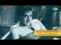 Ente Nandinikuttikku Puzhayorazhakulla Pennu Song