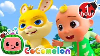 Duck Duck Goose Cocomelon Jjs Animal Time Nursery Rhymes And Kids Songs After School Club