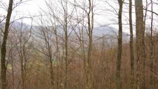 Watch Dailey  Vincent Music Of The Mountains video