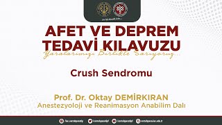 CRUSH Sendromu - Prof.Dr. Oktay DEMİRKIRAN